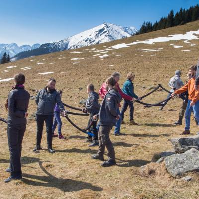 40